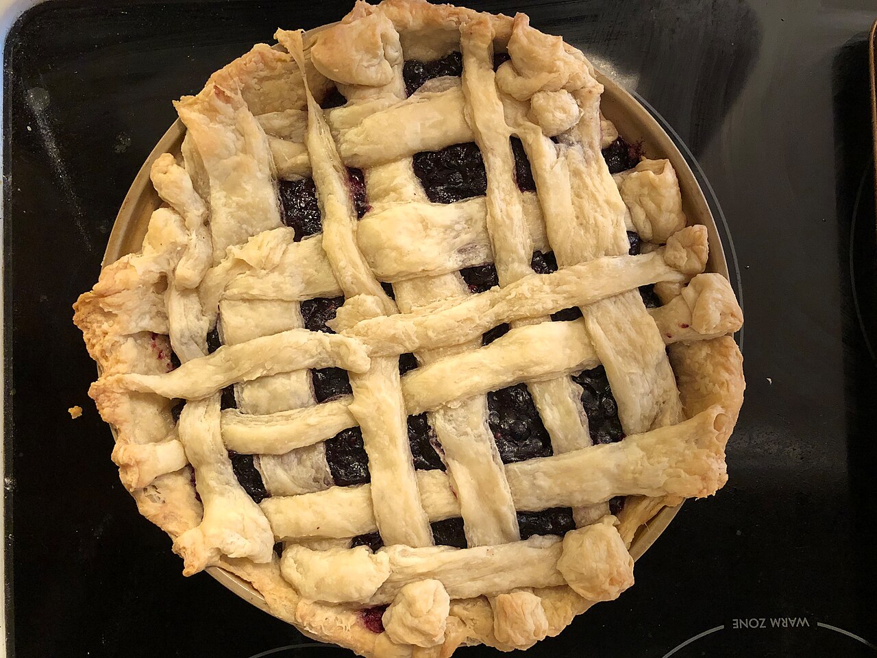 Saskatoon berry pie