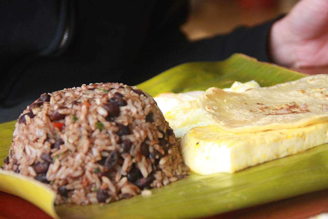 Commons: Gallo pinto