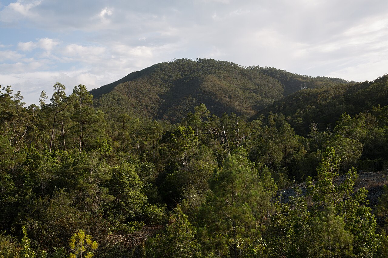 Commons: Alejandro de Humboldt National Park