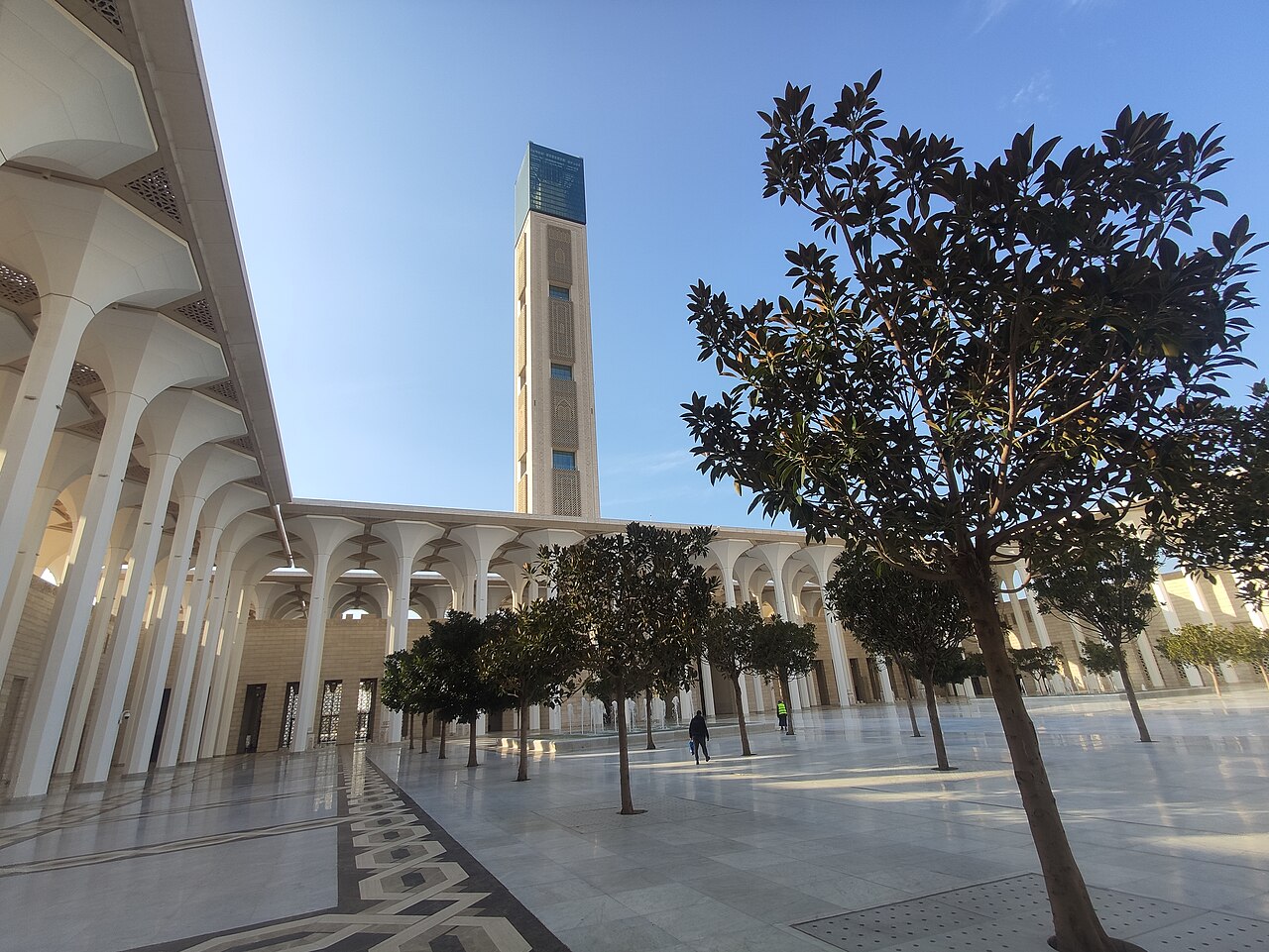 Djamaa el Djazaïr