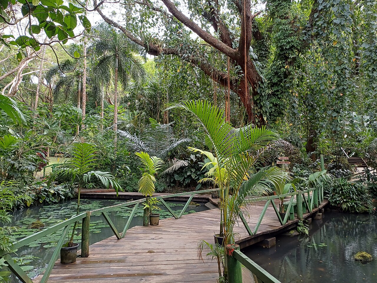 Commons: Garden of the Sleeping Giant