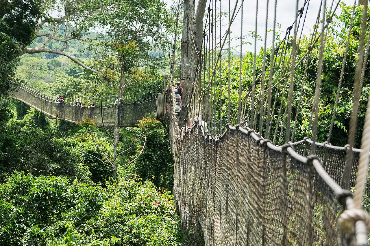 Commons: Kakum canopy walk