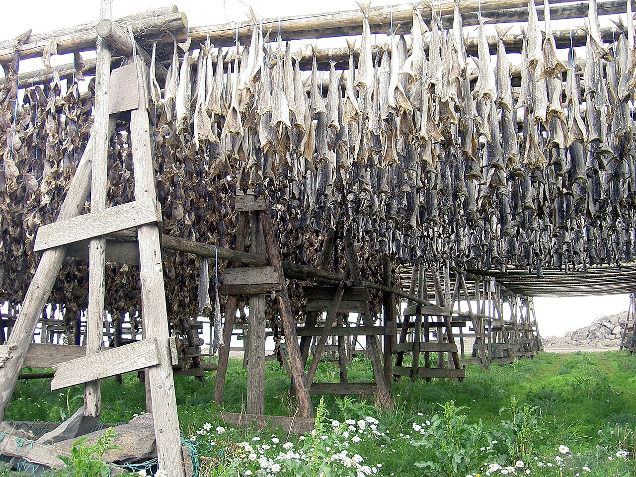 Commons: Dried fish Iceland