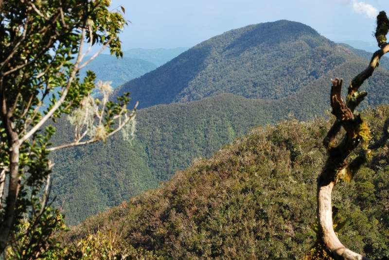 Blue Mountains (Jamaica)