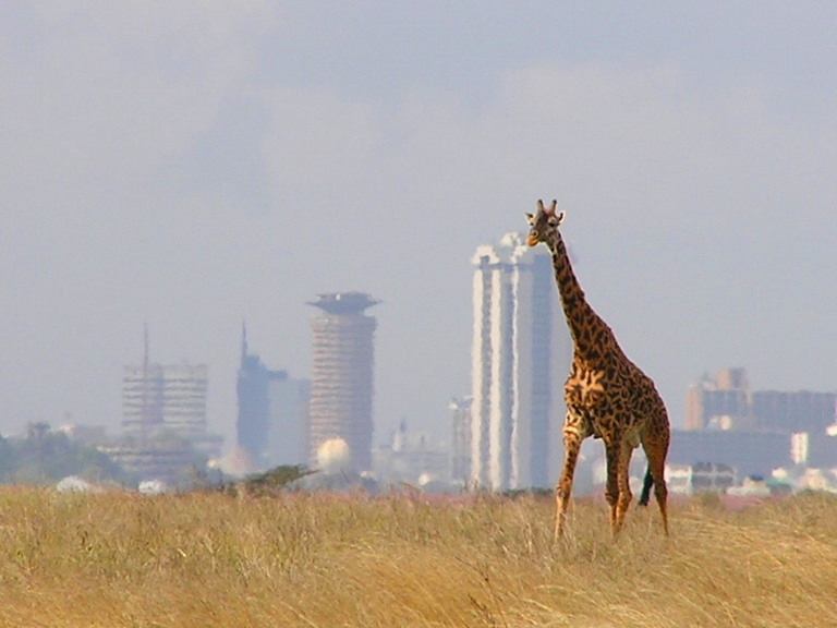 Commons: Nairobi National Park