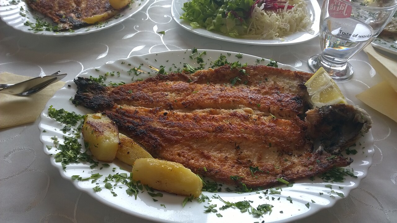 Ohrid trout