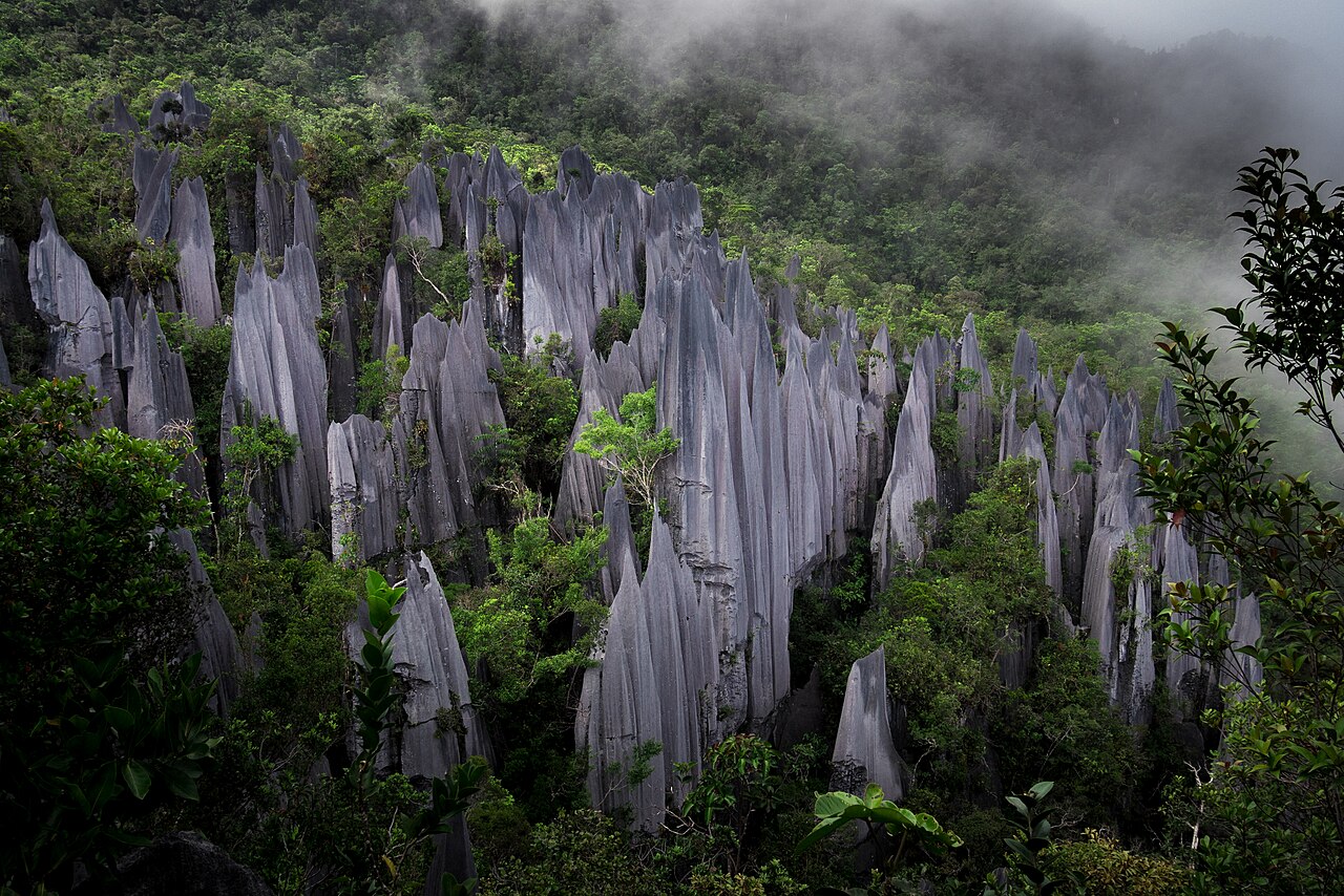 Commons: Gunung Mulu pinnacles