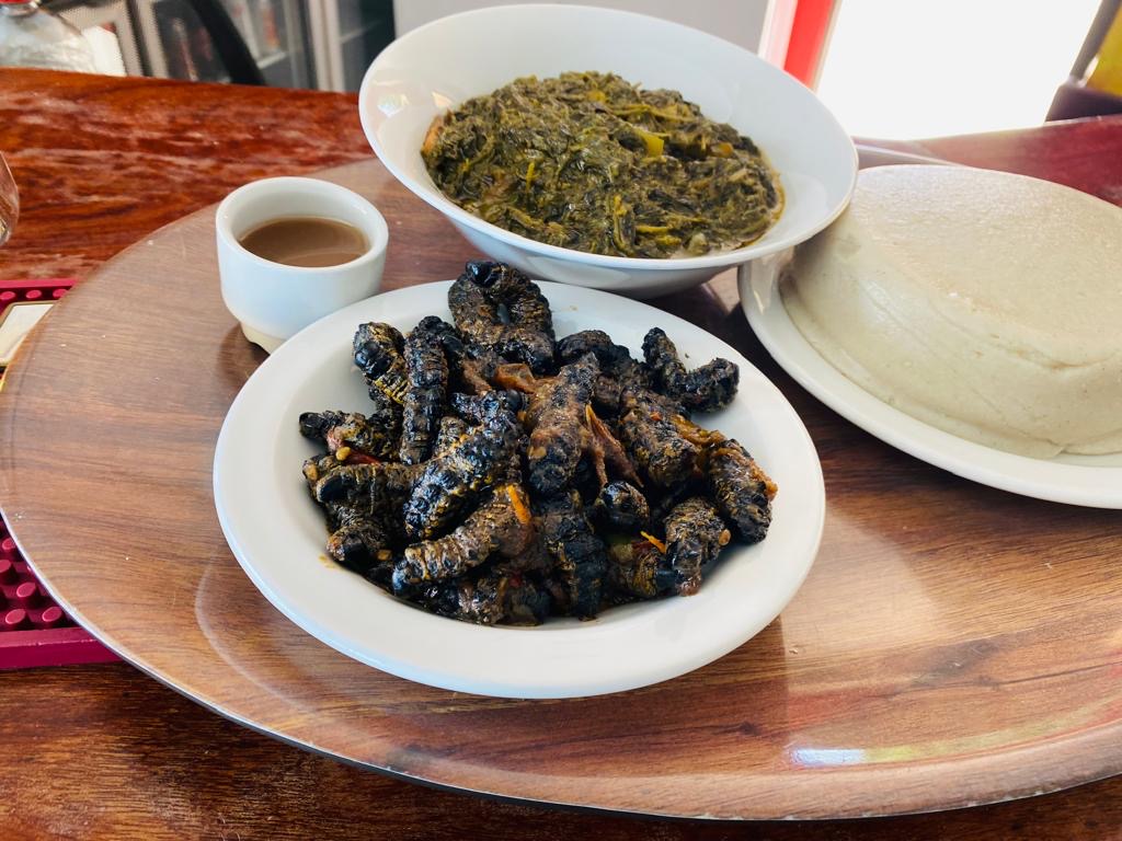Commons: Mopane worms Namibia