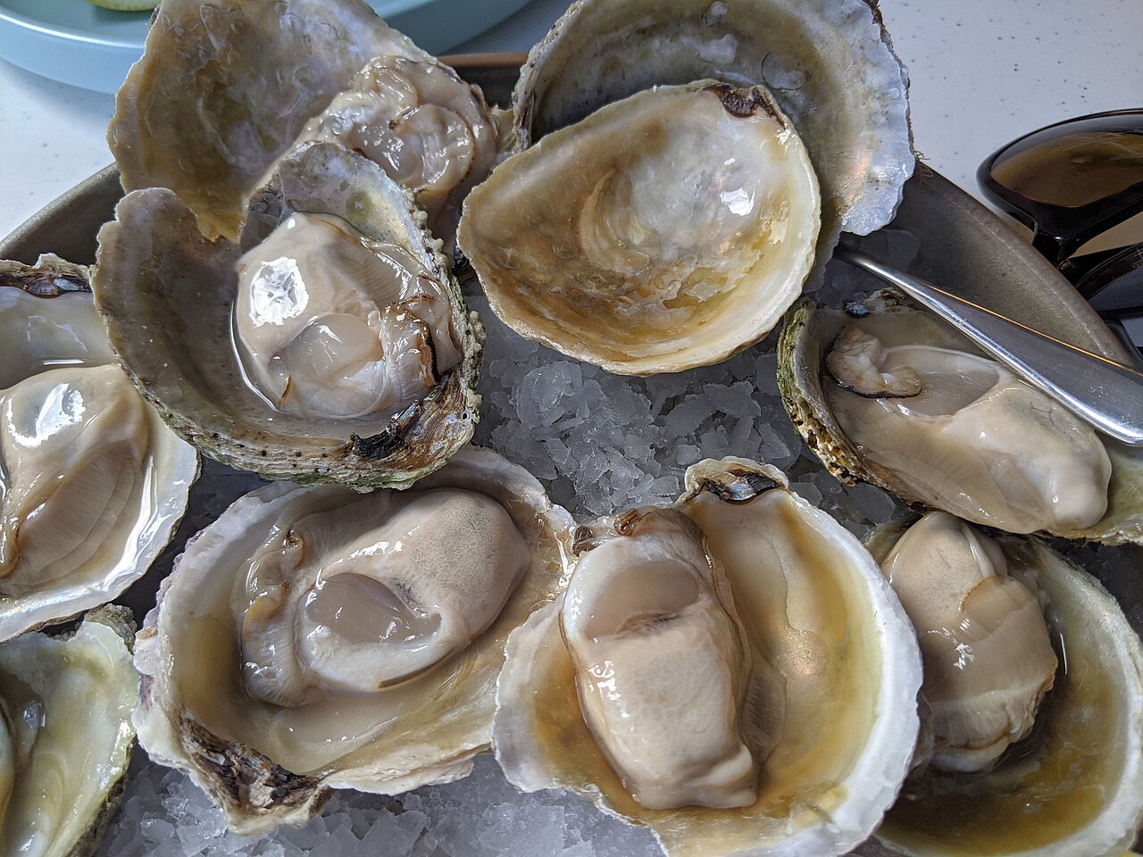 Bluff oysters