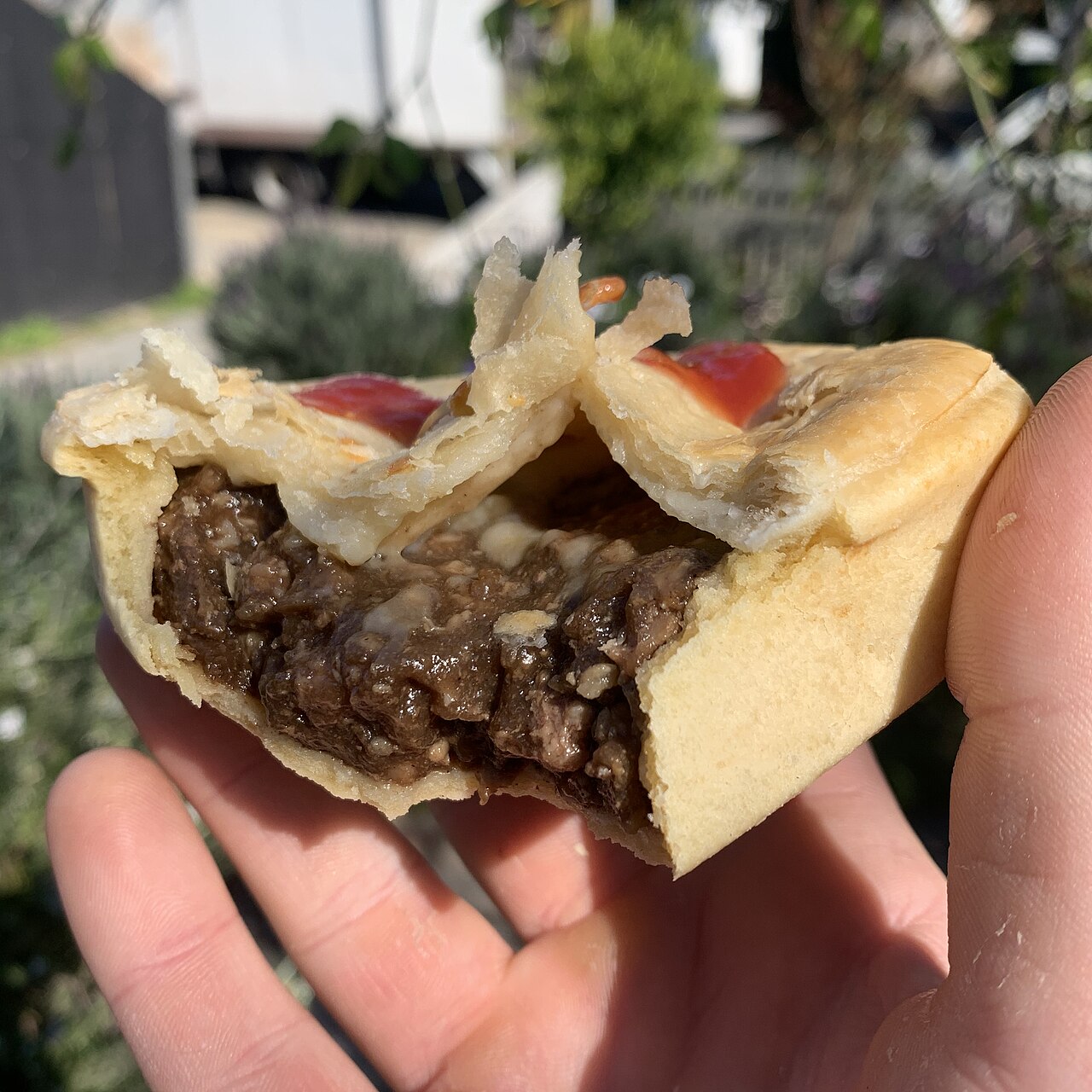 Steak and cheese pie