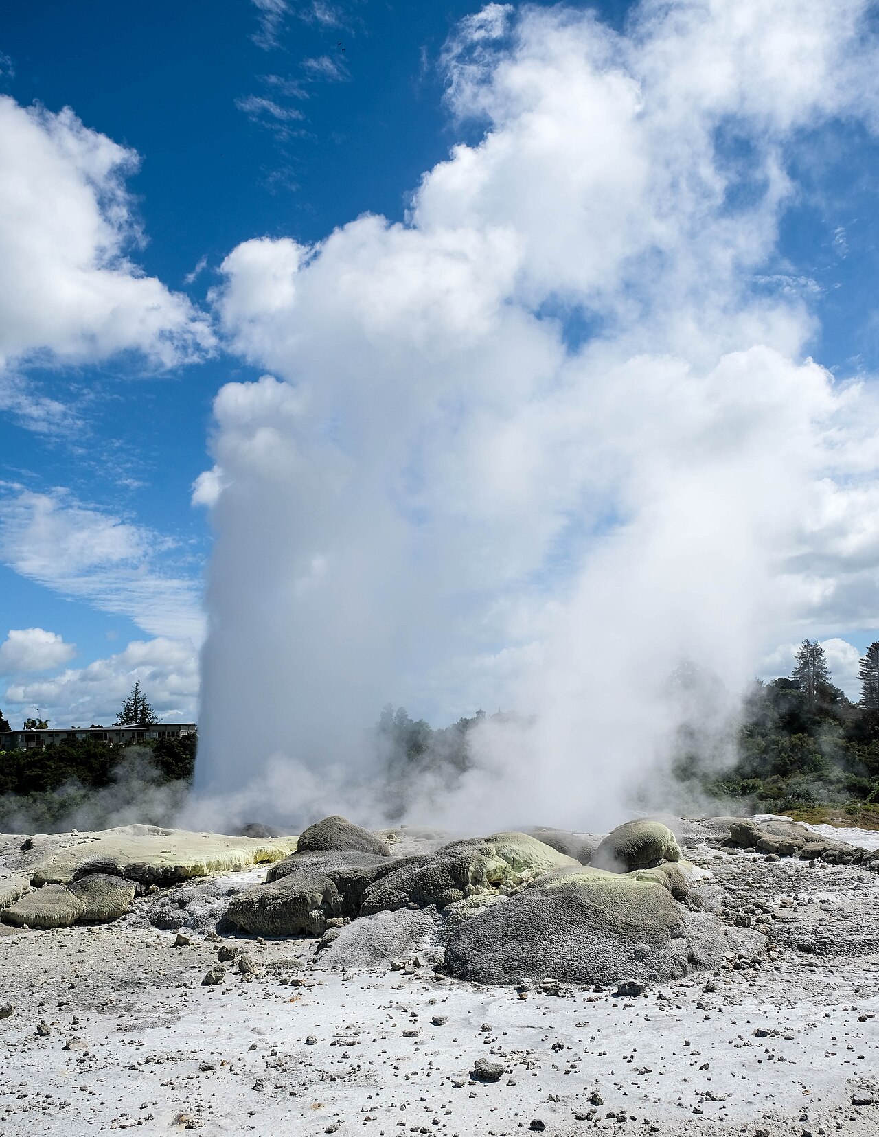 Pōhutu Geyser, Whakarewarewa
