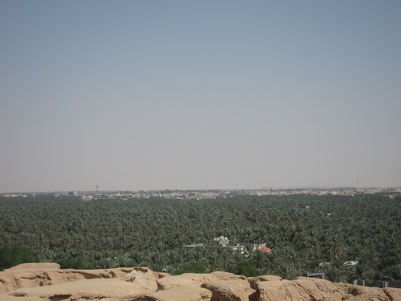 Al-Ahsa Oasis