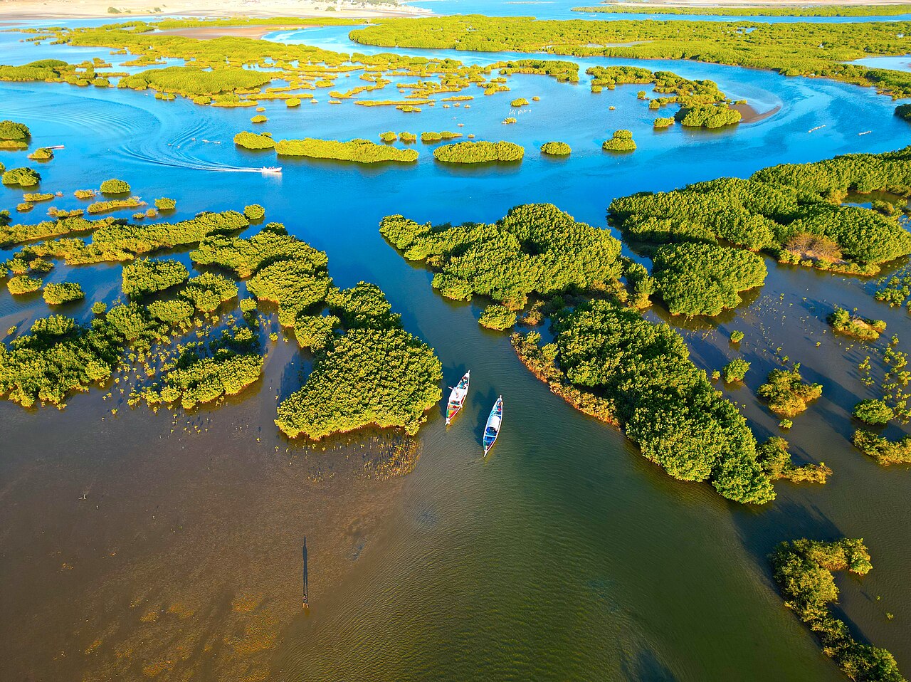 Commons: The Saloum Delta