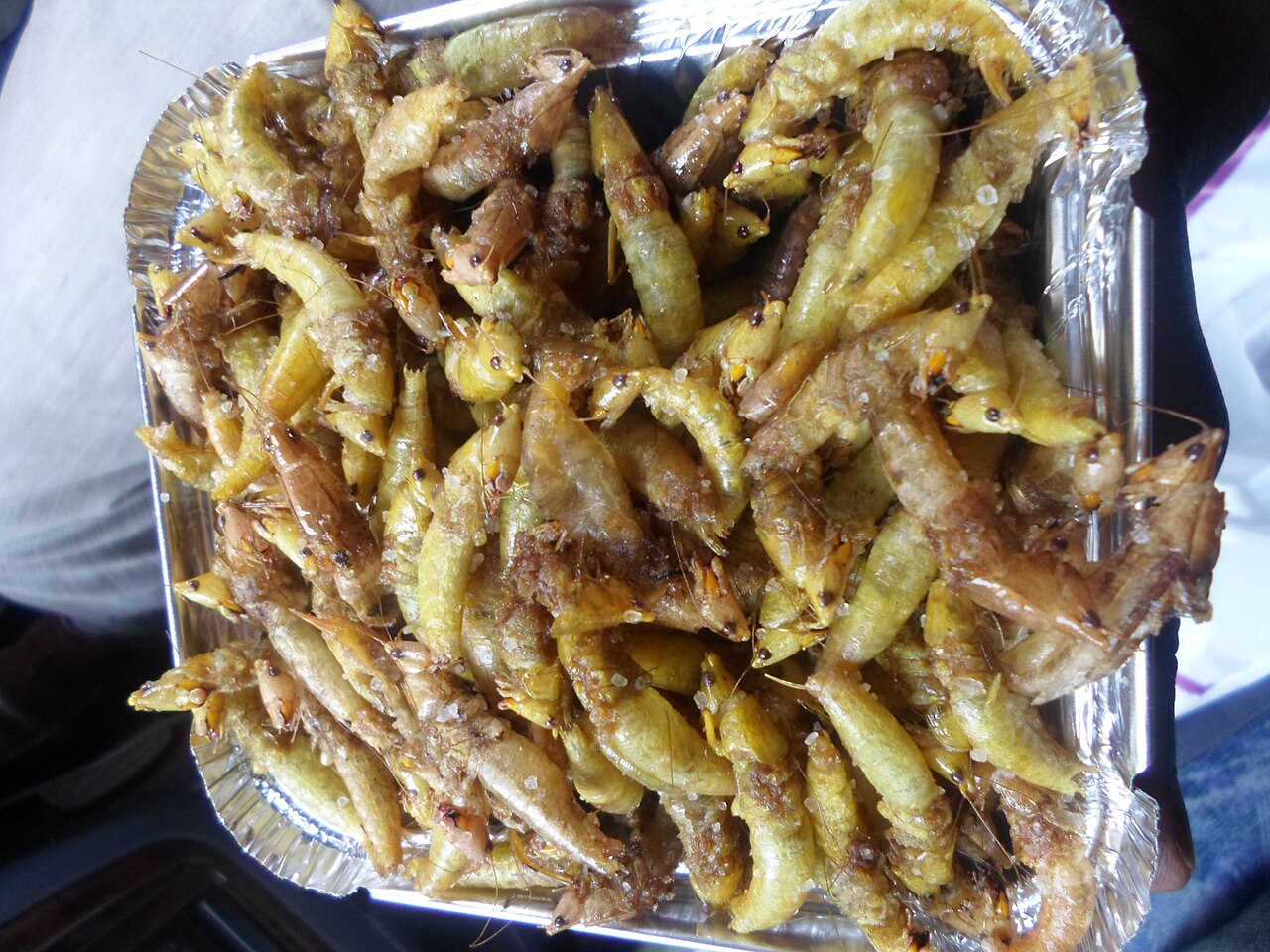 Commons: fried grasshoppers Uganda