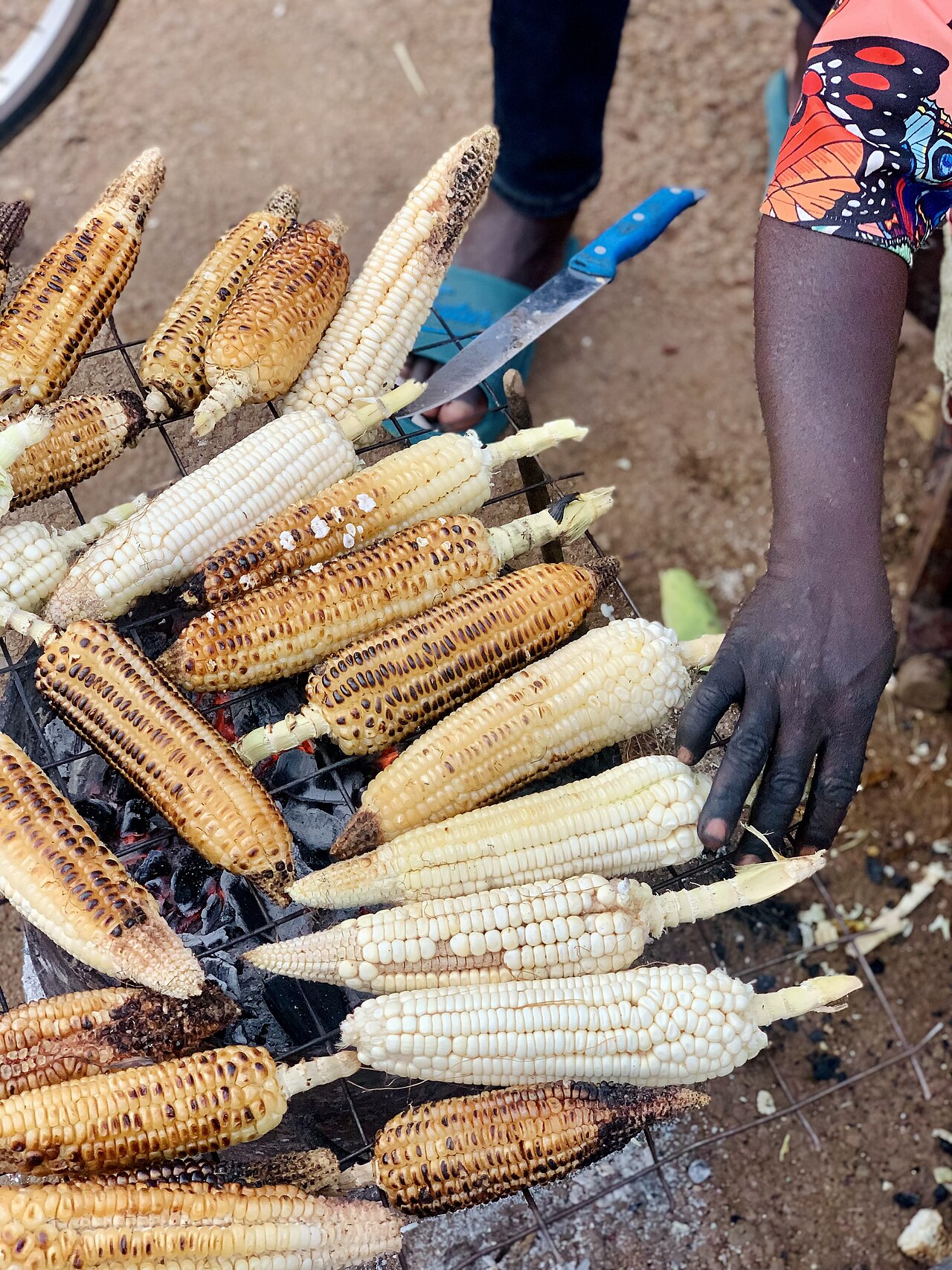 Commons: roasted maize