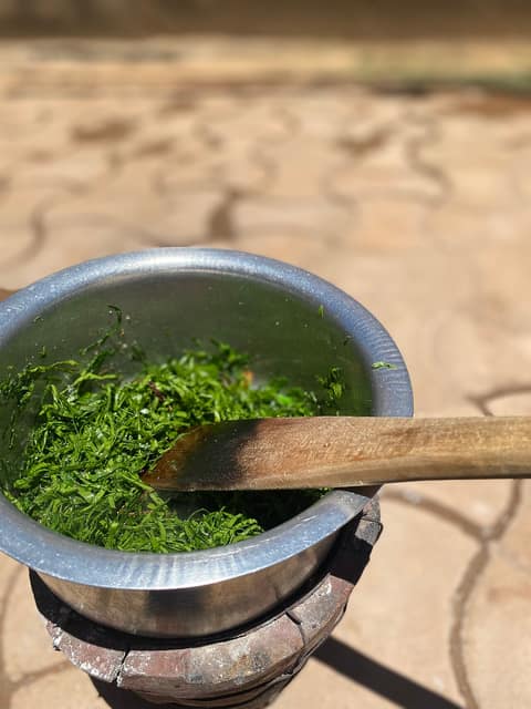 Sukuma wiki